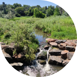 A waterfall on Lena Gulch
